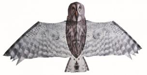 Opakowanie Brookite Latawiec Fun Sowa mszarna