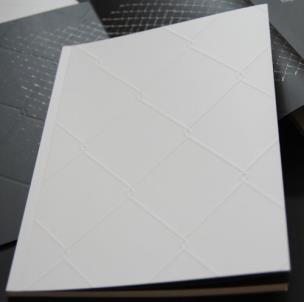 Opakowanie Dominik Lejman Płot - katalog do wystawy