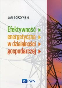 Okładka książki Efektywność energetyczna w działalności gospodarczej