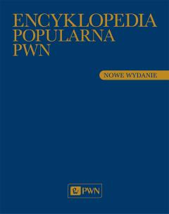 Okładka książki Encyklopedia Popularna PWN