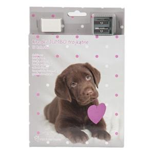 Opakowanie Kredki Jumbo Rachael Hale 12 kolorów + temperówka i gumka