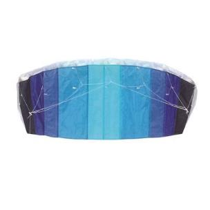 Opakowanie Latawiec Mewa II Wolf