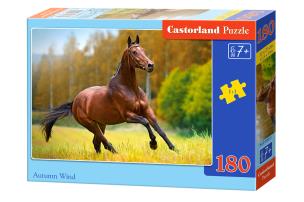 Opakowanie Puzzle 180 Autumn Wind