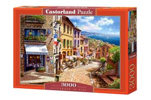 Opakowanie Puzzle Afternoon in Nice 3000