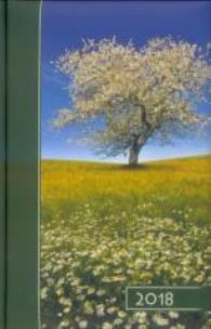 Opakowanie Terminarz 2018 B6 kolor - drzewo