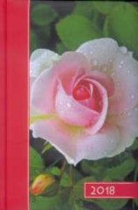 Okładka książki Terminarz 2018 B6 kolor - róża