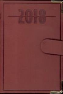 Opakowanie Terminarz 2018 - B7 Lux Złocony z zapinką brązowy