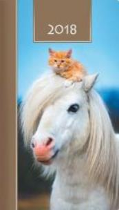 Opakowanie Terminarz 2018 Kolor tygodniowy - koń