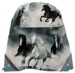 Opakowanie Worek na buty 17-712H