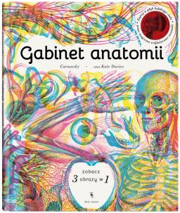 Okładka książki Gabinet anatomii
