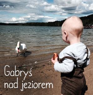 Okładka książki Gabryś nad jeziorem