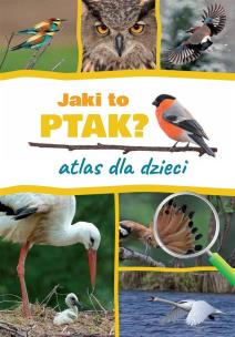 Okładka książki Jaki to ptak? Atlas dla dzieci