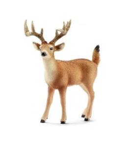 Opakowanie Jeleń biało-ogoniasty