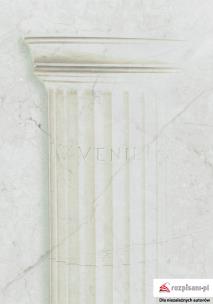 Okładka książki Juwenilia