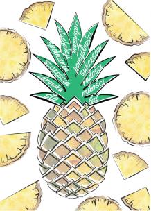 Okładka książki Karnet B6 Urodziny Ananas