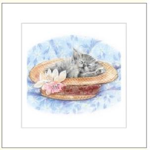 Opakowanie Karnet rysowany kot w kapeluszu 16x16 + koperta