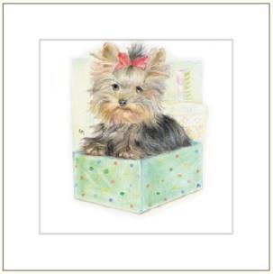 Opakowanie Karnet rysowany pies w pudełku 16x16 + koperta