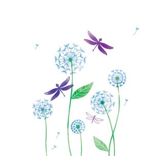 Opakowanie Karnet Swarovski Dmuchawce i ważki