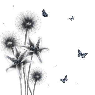 Opakowanie Karnet Swarovski kwadrat CL0321_BL