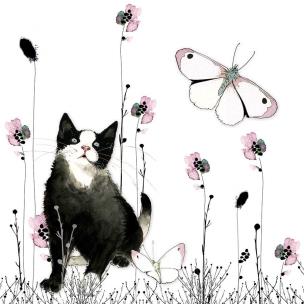 Opakowanie Karnet Swarovski kwadrat Kot i motyl