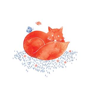 Okładka książki Karnet Swarovski kwadrat Lis