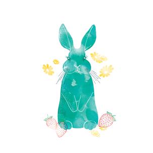 Opakowanie Karnet Swarovski kwadrat Niebieski królik