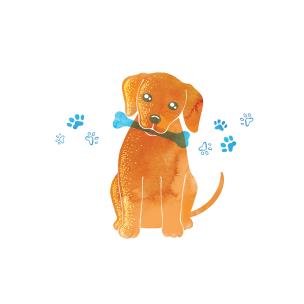 Okładka książki Karnet Swarovski kwadrat Piesek z kością