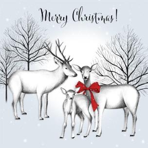 Opakowanie Karnet Swarovski kwadrat Święta Białe renifery Napis