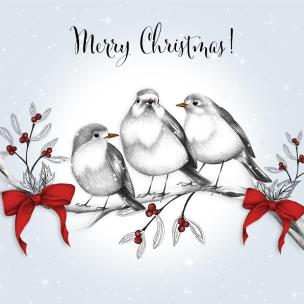 Opakowanie Karnet Swarovski kwadrat Święta Ptaszki na gałęzi Napis