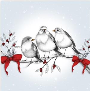 Opakowanie Karnet Swarovski kwadrat Święta Ptaszki na gałęzi