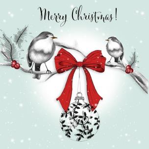 Opakowanie Karnet Swarovski kwadrat Święta Ptaszki z kokardą Napis