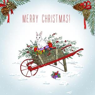 Opakowanie Karnet Swarovski kwadrat Święta Taczka z królikiem Napis