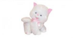 Opakowanie Kotek Puszek 40cm