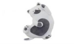 Opakowanie Poduszka - Kotek 50cm