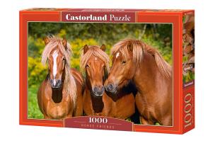 Opakowanie Puzzle 1000 Horse Friends