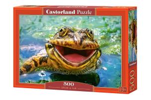 Opakowanie Puzzle Green & Fun 500