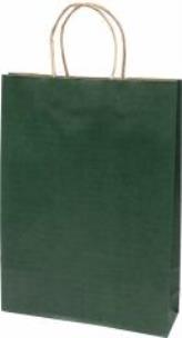 Opakowanie Torba prezentowa średnia Eko zielona