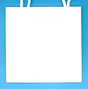 Opakowanie Torebka ozd. biała T-8 OP=10SZT.