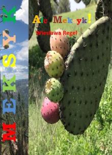 Okładka książki Ale Meksyk!