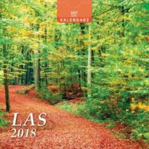 Opakowanie Kalendarz 13 Plansz kwadratowy - Las