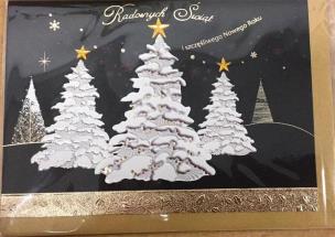 Opakowanie Karnet Boże Narodzenie B6 Premium 12 + koperta