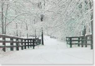 Opakowanie Karnet Św mini Zimowe Ślady (20szt)