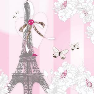 Opakowanie Karnet Swarovski kwadrat CL0525