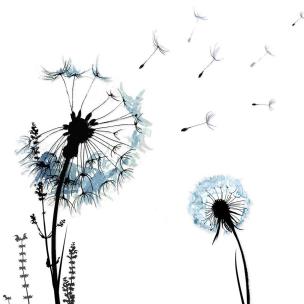 Opakowanie Karnet Swarovski kwadrat CL1208