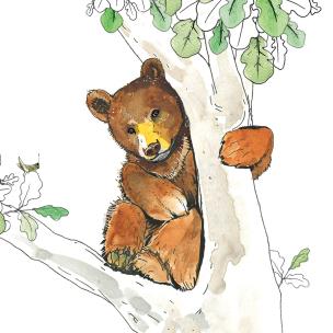 Opakowanie Karnet Swarovski kwadrat Niedźwiadek