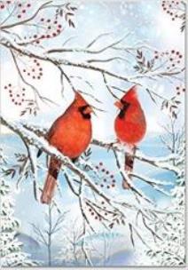 Opakowanie Karnety mini świątczne Kardynały zimą (20szt)