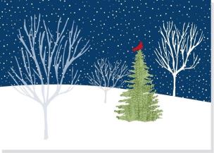 Opakowanie Karnety świątczne Delux Kardynał o północy (20szt)