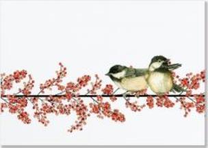 Opakowanie Karnety świątczne Delux Winterberry Chick. (20szt)