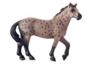 Opakowanie Koń Appaloosa