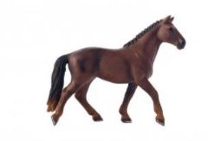 Opakowanie Koń KWPN